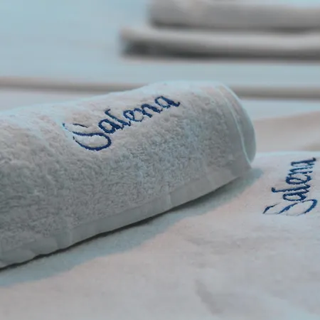 호텔 Salena 프리모르스코