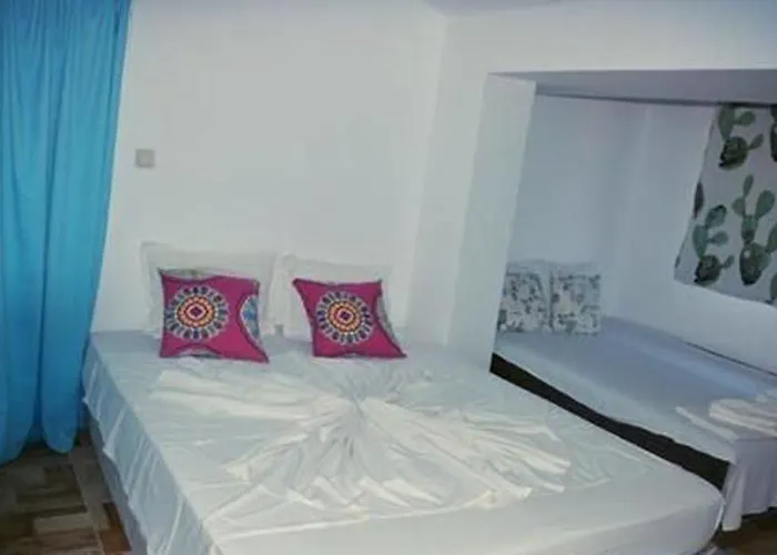 Salena 3* Πριμόρσκο